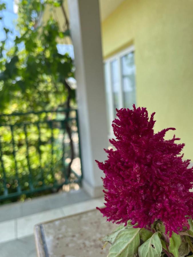 Apartments Mornar Poljica  المظهر الخارجي الصورة